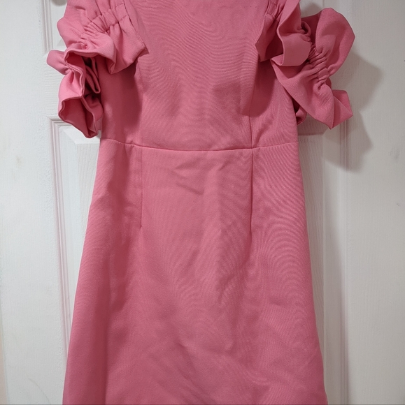 Pink Ruffle Cocktail - Picture 2 of 3